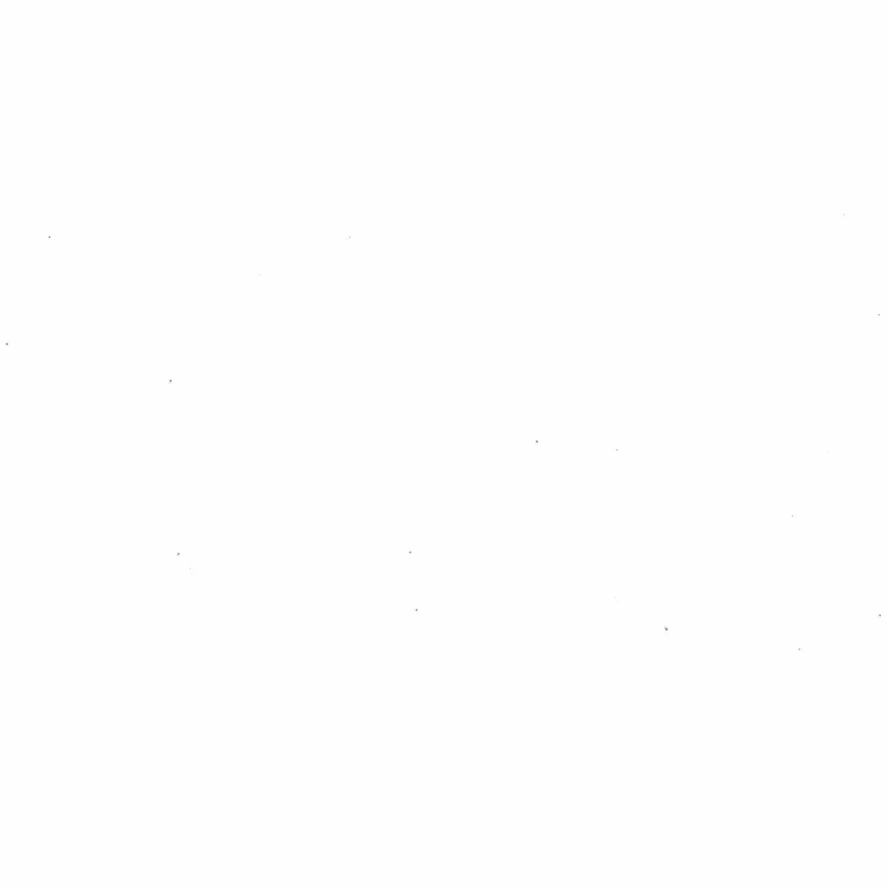 B-3 White